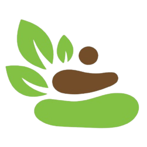 Body Harmony Reflexology logo